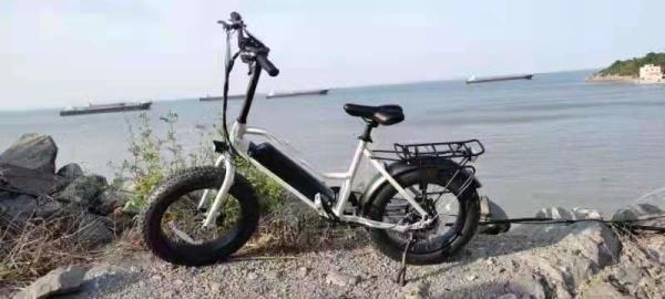 ( OEM Factory ) 48V 250W Fat Tyre Electric Bikes , 20 Inch Electric Assist
