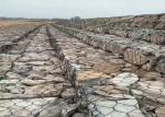 ISO9001 Easy Installation PVC Coated Stone Filled Gabions