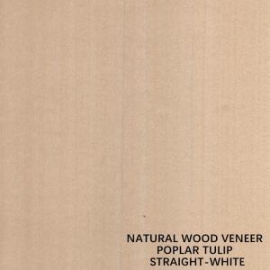 Quality Straight White Color American Natural Poplar Wood Veneer For Fancy Plywood / Door wholesale