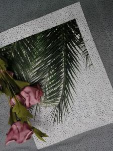 Quality Party Black Dot Glitter Tulle Mesh Foil Printed Fabric wholesale