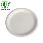 Biodegradable bagasse pulp disposable birthday party dishes
