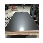 Poplar Core Film Faced Plywood