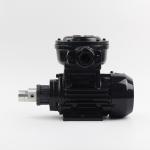 FLOWDRIFT Stainless Steel No Leakage Magnetic Gear Pump Composed By AC Explosion