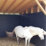 Duplex Mats Stable Wall Mats Horse Stall Wall Padding 18mm Thickness