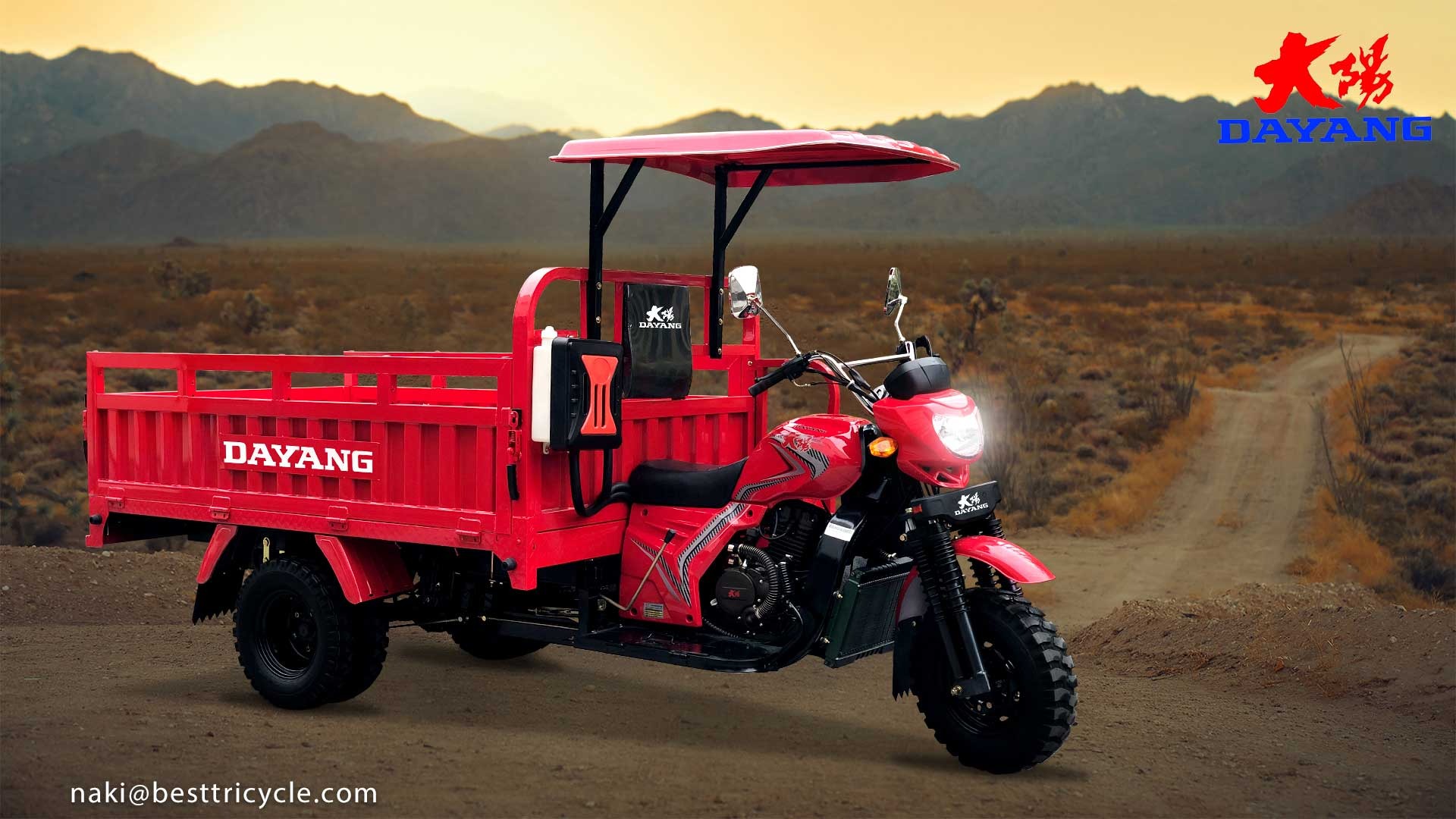 DAYANG 350CC Water Cooled 5 Wheeler Gas Motorized Tricycle with and CCC Certification