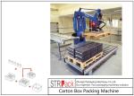 Automatic Carton Robot Palletising System For Industry Food Chemistry Stacking