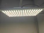210lm/W 360nm Quantum Board Led Grow Light