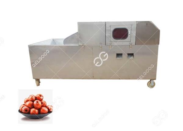 Professional Red Dates Pitting Machine , Fruit Kernel Removal Machine 288pcs /