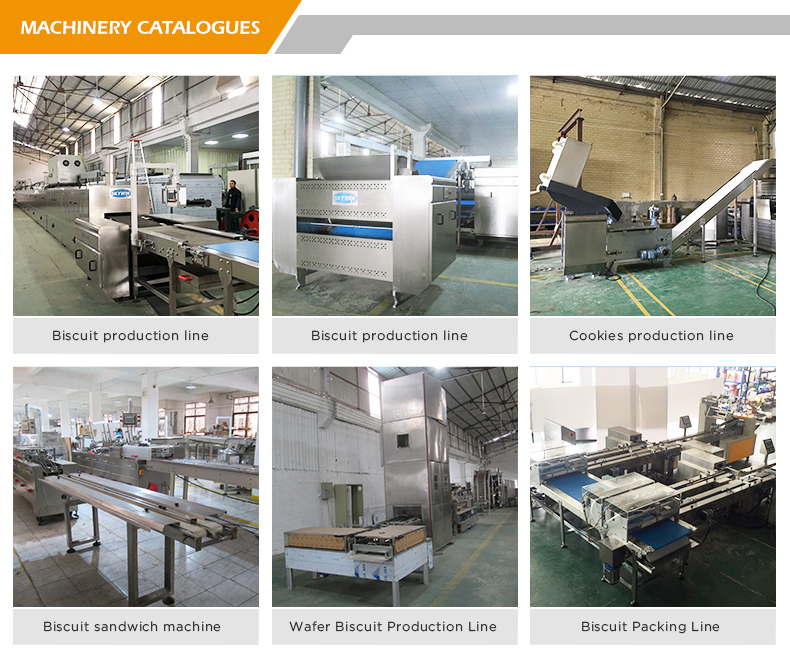 Low Noise Level 30m Biscuit Baking Tunnel Oven Gas Tunnel Oven