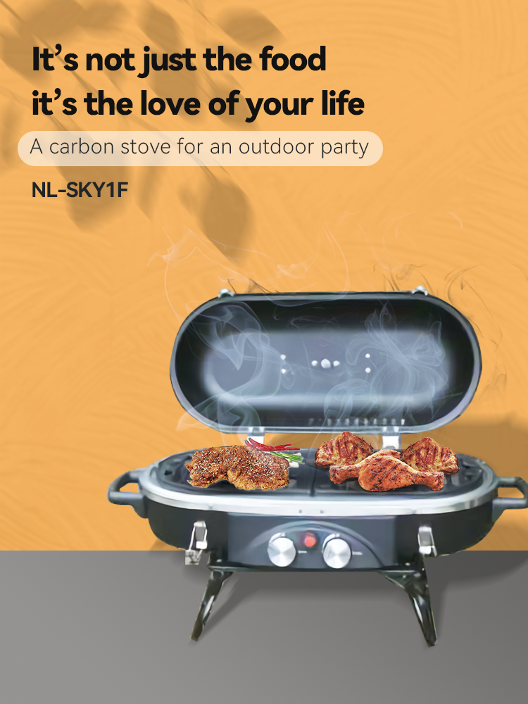 Easily Assembled 2 Burner Propane BBQ Gas Grill with Rotisserie Natural Gas Type