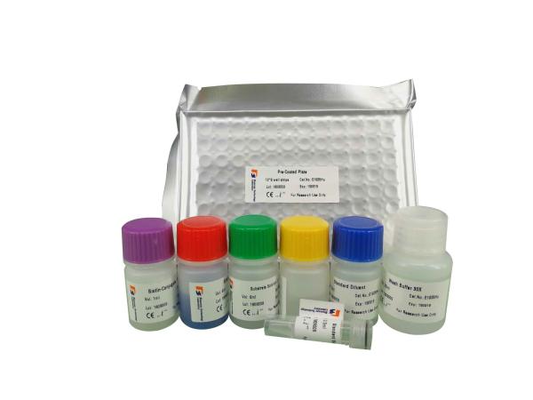 96 Wells 48 Wells Mouse Strong Specificity Cathelicidin Antimicrobial Peptide