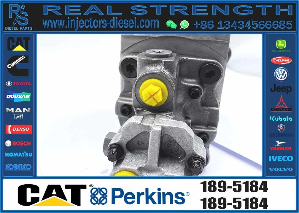 Diesel Fuel Injection Pump 189-5184 254-4357 for CAT C7 C9 Excavator E330D E336D E340DL