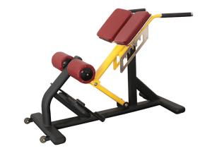 Quality Pro Commercial Gym Rack And Fitness Equipment Roman Ab Exercise Chair wholesale