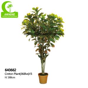 Quality Customized 180cm fake Natural Foliage Variegated Croton Plant wholesale