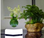 new christmas gift magnetic floating levitation air bonsai potted plant trees