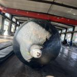 Modern Marine Equipment / Marine Part Boat Landing Launching Airbag