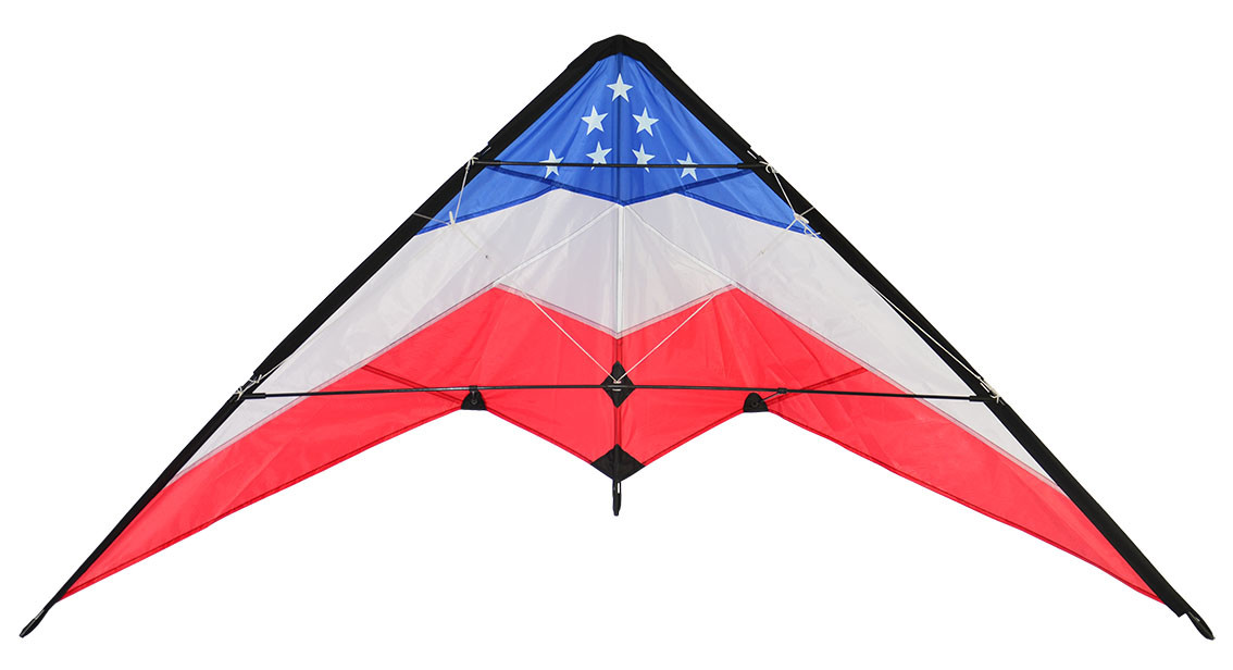 Dual Line Type Delta Stunt Kite Beautiful Appearance For Spring Outdoor Playing