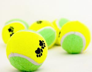 Quality mini dog playing tennis balls wholesale