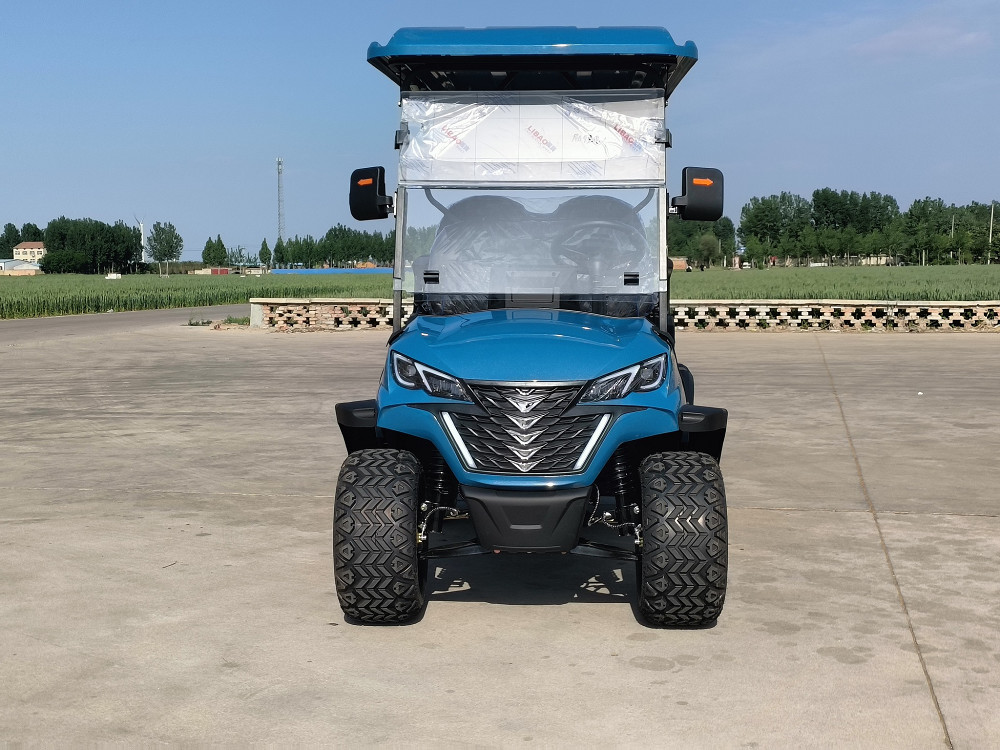 1740mm Wheelbase Two Seater Golf Cart With LCD Instrument Dashboard