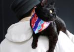 Red Pink Bandana Dog Collar Sublimation Dog Neckerchief Collar