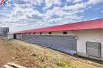 Prefab Steel Structure Chicken Building Shed Broiler Fatten Poultry Farm House