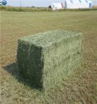Agriculture PP/ PE Packaging Baler Twine