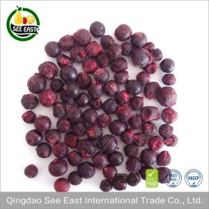 Quality Halal food chinese freeze dried black currant from ISO certified company wholesale