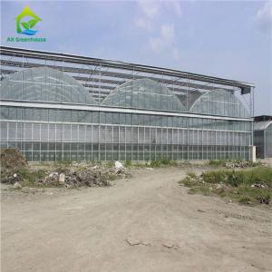 Quality Heavy Duty Glass Hydroponic Nursery Greenhouse For Vegetables wholesale