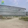 Buy cheap Heavy Duty Glass Hydroponic Nursery Greenhouse For Vegetables from wholesalers