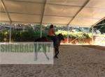 10000-100000 Square Feet Aluminum Structure Tent Large Equestrian Riding Arenas
