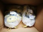 Child Adult IFSC Approved GRP Resin Rock Climbing Holds for Indoor Commercial