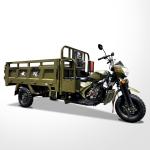 DAYANG 5.0-12 Tire Size Motorized Tricycle for Food Delivery in Tanzania Market