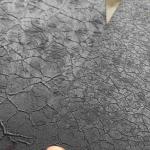 Wholesales Crocodile Texture White Powder Coating For Indoor Decoration