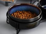 Elevated 400ml 850ml Lead Free Ceramic Dog Bowl With Metal Stand Pet Supplies