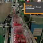 Clamshell Fresh Fruit Vegetable Packing Machine Kale Spinach Cherries Strawberry