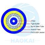 Flame Retardant Jacket Indoor Optical Cable Armored Fiber Optic Cable GJSJV