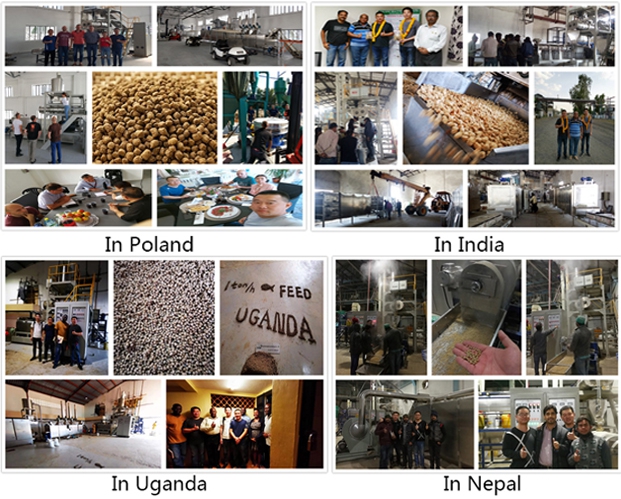 Full Production Line Pet Dog Food Extruder Processing Machine Made of Stainless Steel