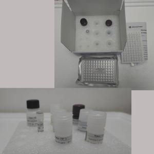 Quality Human Renin Elisa Kit with 96 tests wholesale