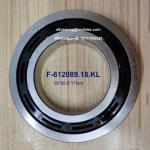 F-612089.18.KL auotmotive bearings non-standard deep groove ball bearings 55*95