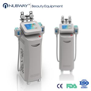 Quality New design best selling cryolipolysis slimming machine with top quality wholesale