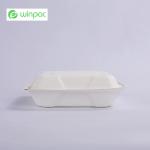 Sustainable Compostable Sugarcane Bagasse Clamshell Takeaway Containers 8 Inch
