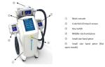 Fat Freezing Body Slimming Cryotherapy Weight Loss Machine Painless