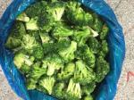 New Winter Crop No Worm IQF Frozen Broccoli Florets