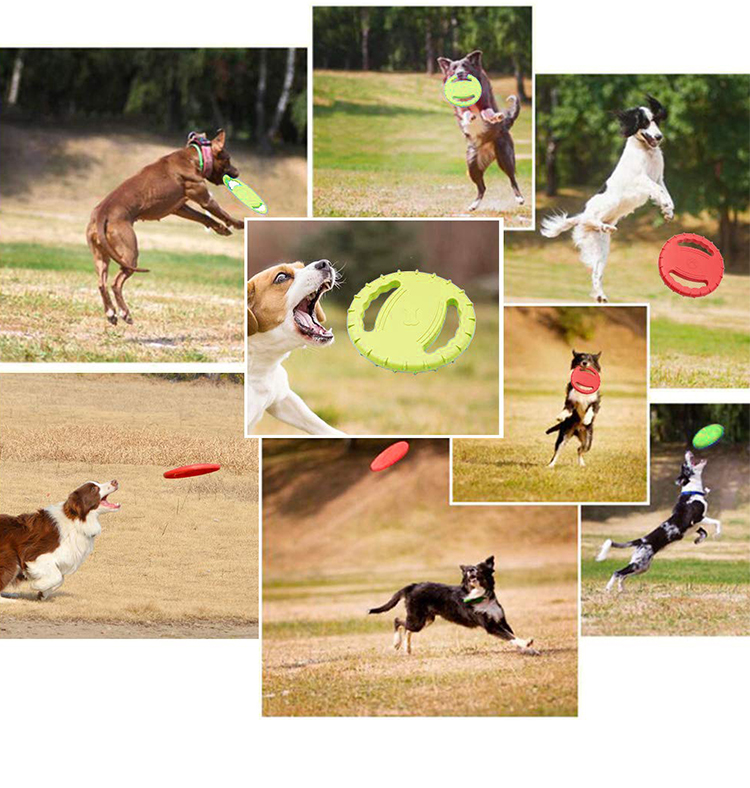 Chengbei Pet Products EVA Pet Toys for Dogs Interactive Movement Chengbei Training Supplies EVA Material