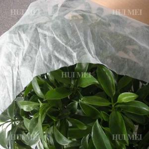 Quality Plants Non Woven Polypropylene Landscape Fabric Environmental Friendly wholesale
