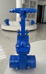 ANSI Rising Stem Soft Seat Groove Gate Valve