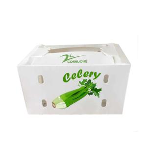 Quality Reusable PP Corrugated Sheet Box Black White wholesale