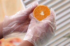 Quality Transparent Plastic 100pcs/Bag Disposable Poly Gloves For Household wholesale