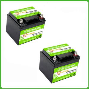 Quality 12v 50ah 80ah 100ah lifepo4 battery pack lithium ion battery 12v for motor homes/ marine industry wholesale