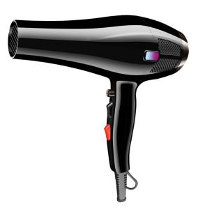Quality AC Motor Professional Salon Hair Dryer With Concentrator Nozzle CE Certified wholesale